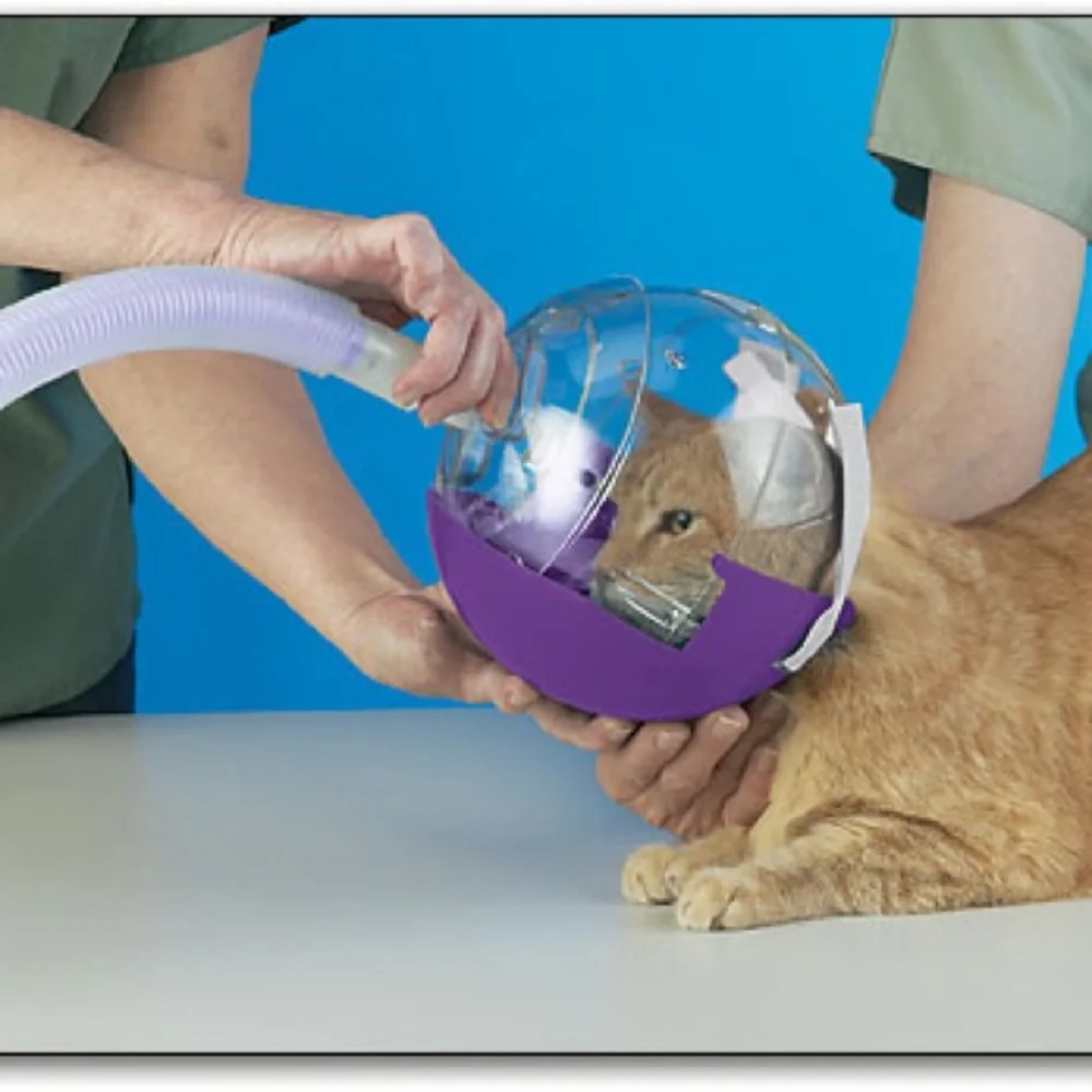 Veterinary Critical Care Air Muzzle II with O2 Adapter
